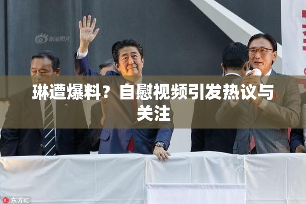 琳遭爆料？自慰视频引发热议与关注