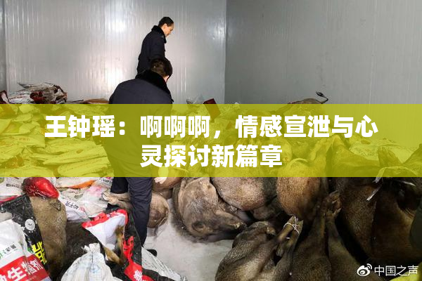 王钟瑶：啊啊啊，情感宣泄与心灵探讨新篇章