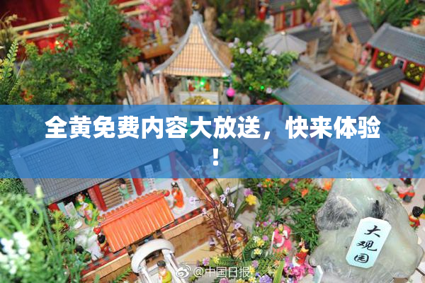 全黄免费内容大放送，快来体验！