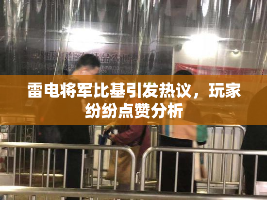 雷电将军比基引发热议，玩家纷纷点赞分析