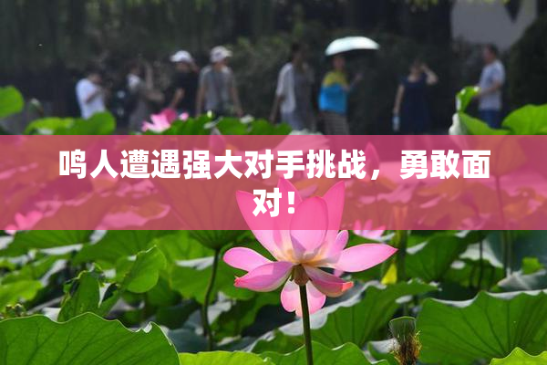 鸣人遭遇强大对手挑战，勇敢面对！