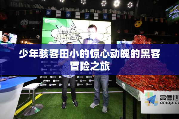 少年骇客田小的惊心动魄的黑客冒险之旅