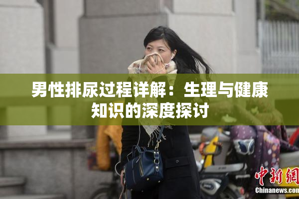 男性排尿过程详解：生理与健康知识的深度探讨
