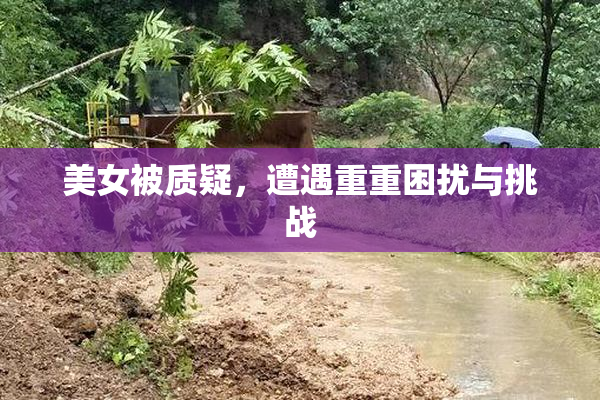 美女被质疑，遭遇重重困扰与挑战