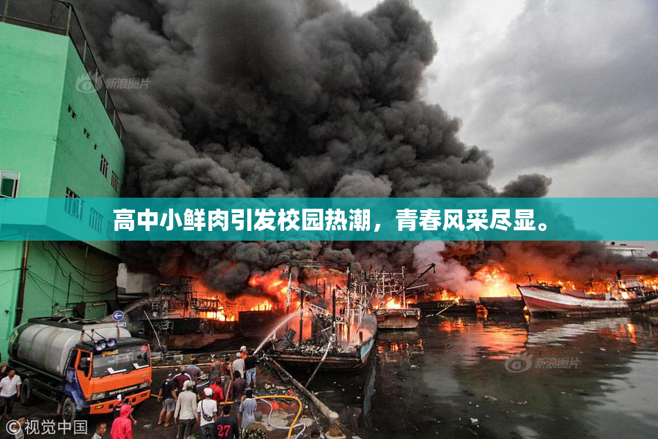 高中小鲜肉引发校园热潮，青春风采尽显。