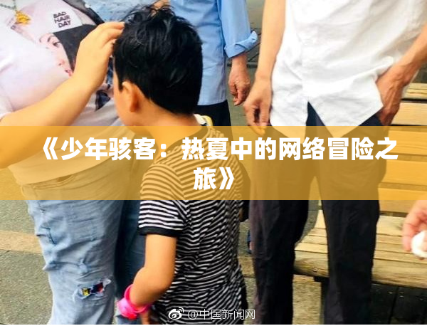 《少年骇客：热夏中的网络冒险之旅》