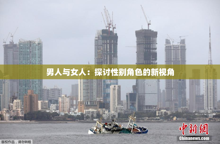 男人与女人：探讨性别角色的新视角
