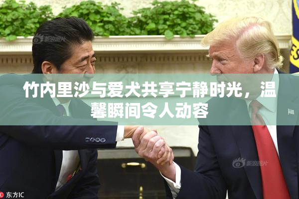 竹内里沙与爱犬共享宁静时光，温馨瞬间令人动容