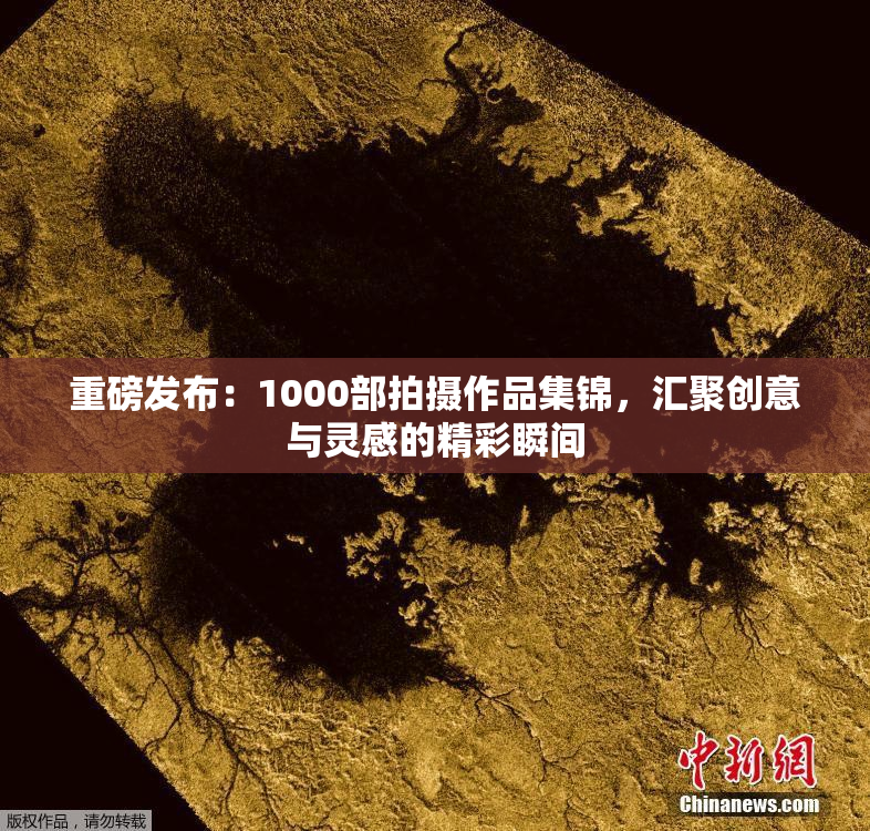 重磅发布：1000部拍摄作品集锦，汇聚创意与灵感的精彩瞬间