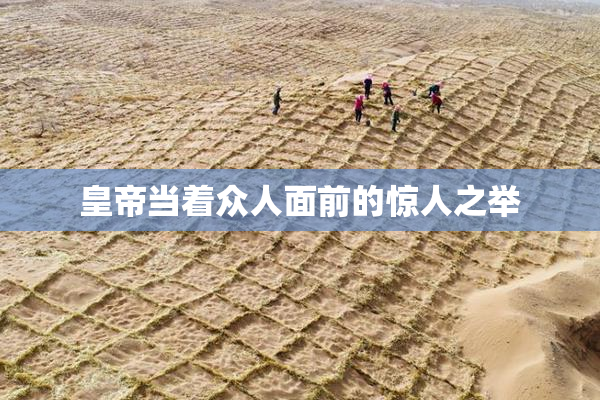 皇帝当着众人面前的惊人之举