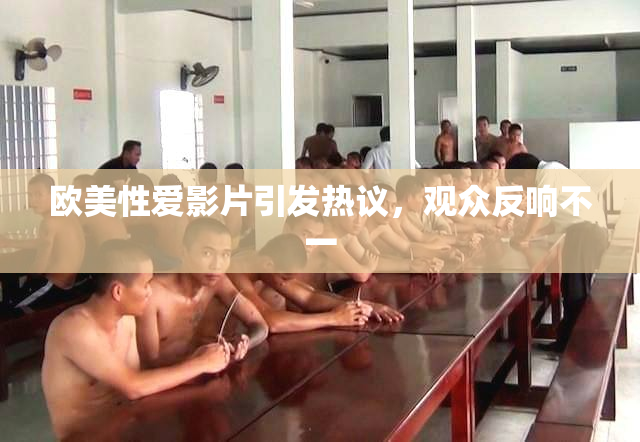 欧美性爱影片引发热议，观众反响不一