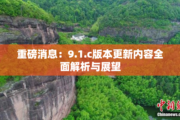 重磅消息：9.1.c版本更新内容全面解析与展望