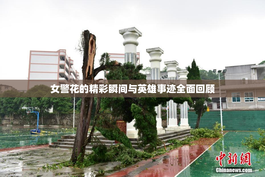 女警花的精彩瞬间与英雄事迹全面回顾