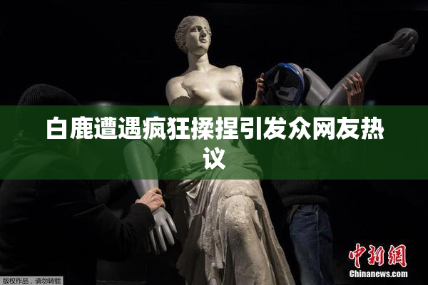 白鹿遭遇疯狂揉捏引发众网友热议
