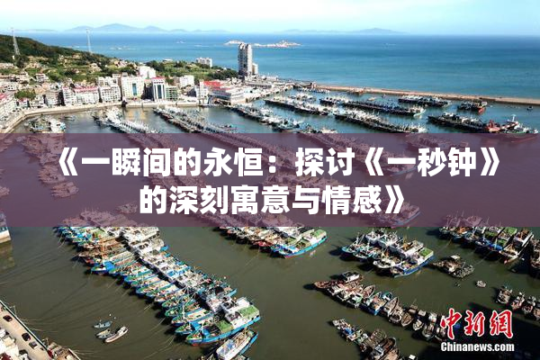 《一瞬间的永恒：探讨《一秒钟》的深刻寓意与情感》