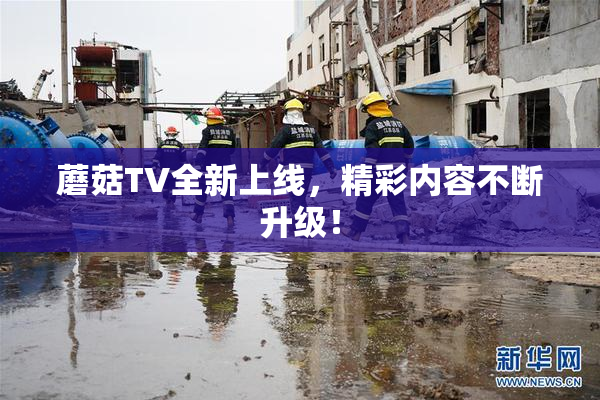 蘑菇TV全新上线，精彩内容不断升级！