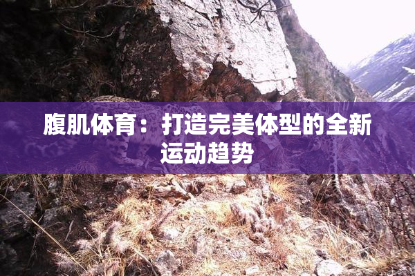 腹肌体育：打造完美体型的全新运动趋势