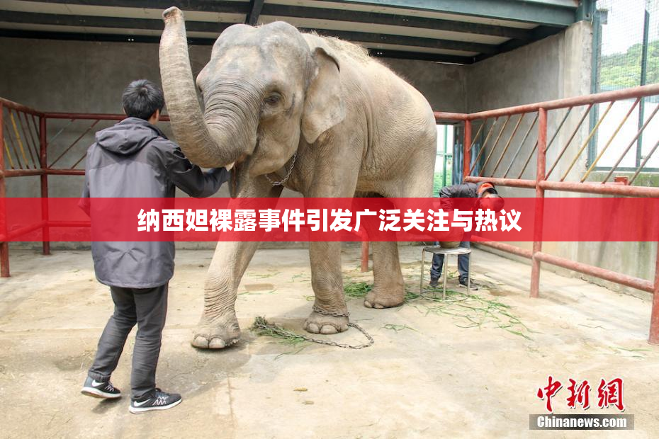 纳西妲裸露事件引发广泛关注与热议