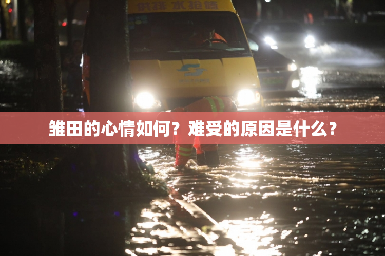 雏田的心情如何？难受的原因是什么？