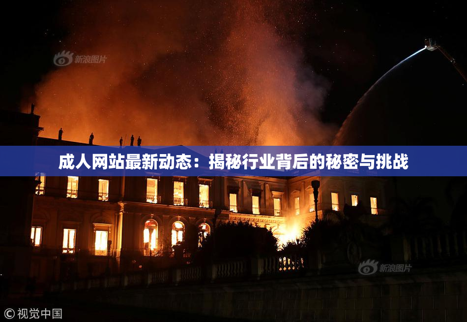 成人网站最新动态：揭秘行业背后的秘密与挑战