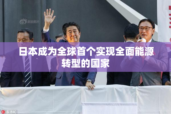 日本成为全球首个实现全面能源转型的国家