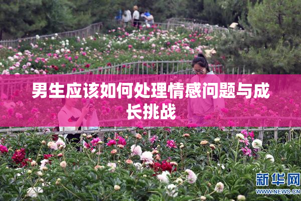 男生应该如何处理情感问题与成长挑战
