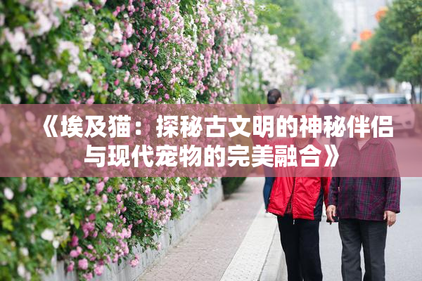 《埃及猫：探秘古文明的神秘伴侣与现代宠物的完美融合》