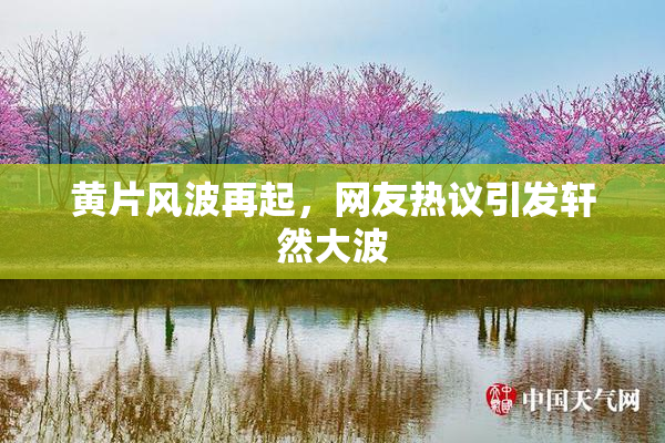 黄片风波再起，网友热议引发轩然大波