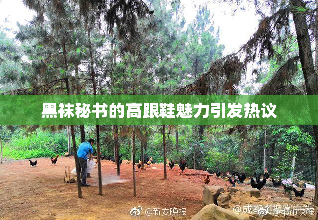 黑袜秘书的高跟鞋魅力引发热议