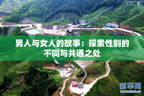 男人与女人的故事：探索性别的不同与共通之处