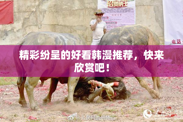精彩纷呈的好看韩漫推荐，快来欣赏吧！