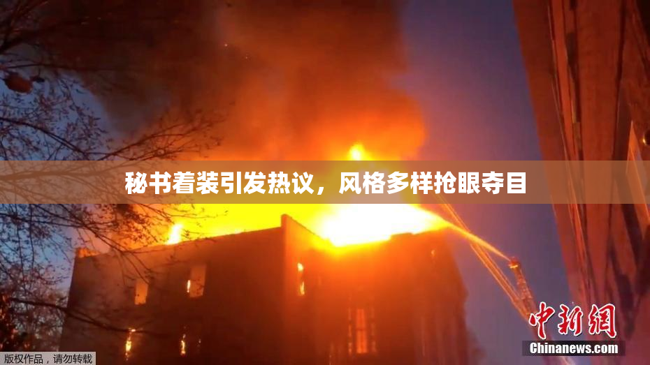 秘书着装引发热议，风格多样抢眼夺目
