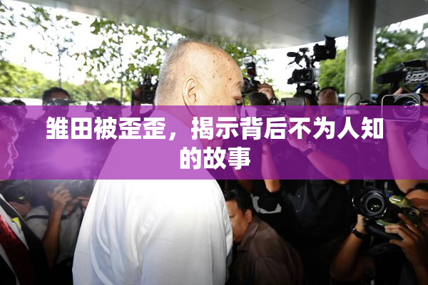 雏田被歪歪，揭示背后不为人知的故事