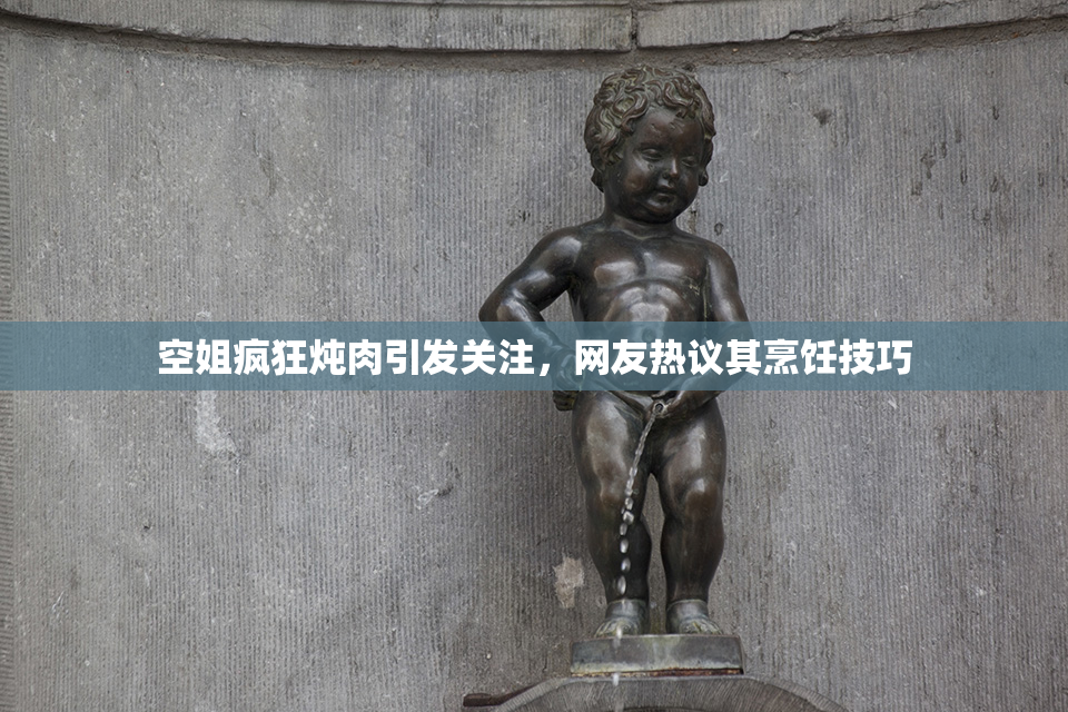 空姐疯狂炖肉引发关注，网友热议其烹饪技巧