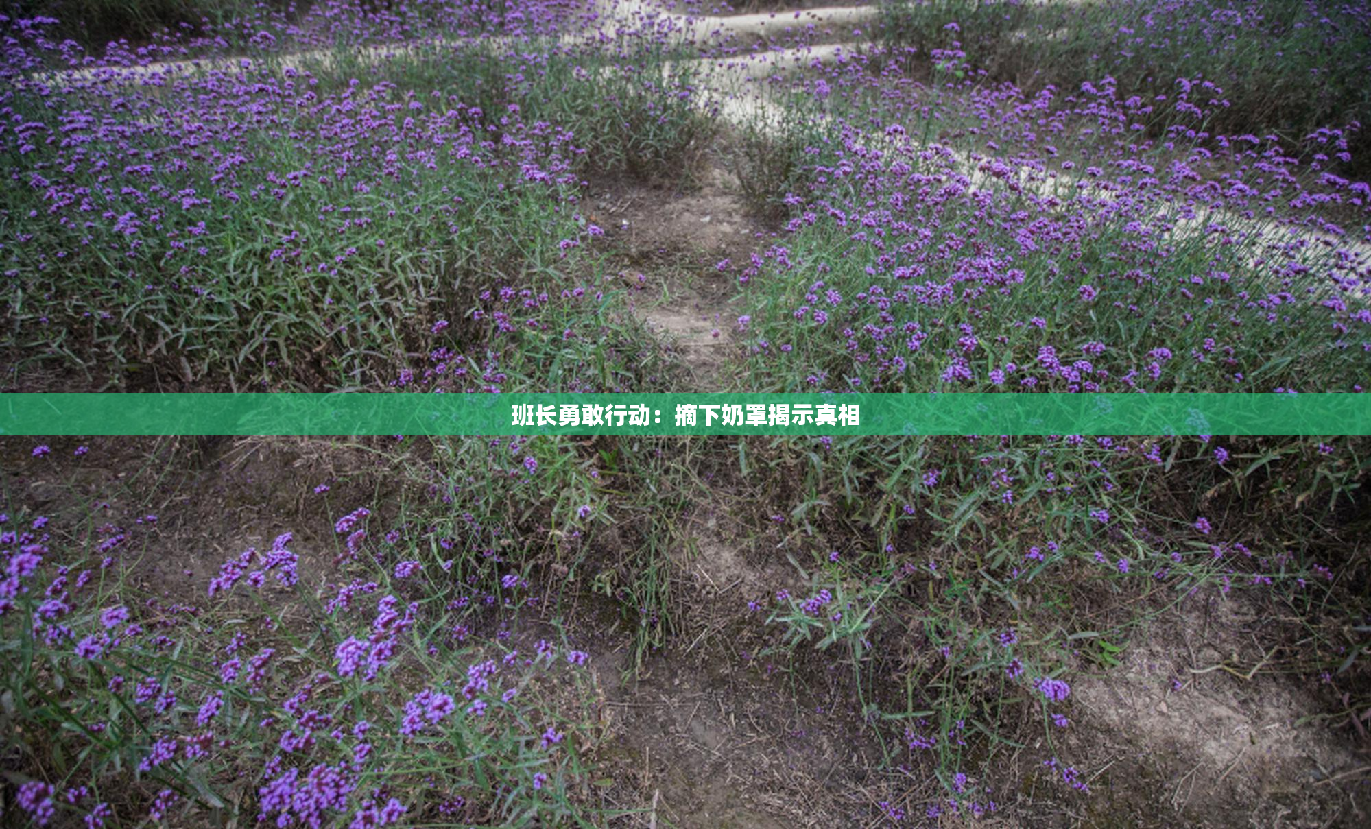 班长勇敢行动：摘下奶罩揭示真相
