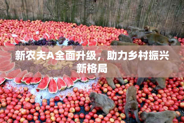 新农夫A全面升级，助力乡村振兴新格局