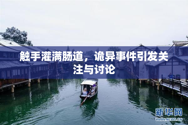 触手灌满肠道，诡异事件引发关注与讨论