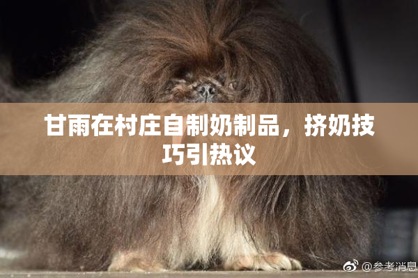 甘雨在村庄自制奶制品，挤奶技巧引热议