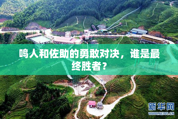 鸣人和佐助的勇敢对决，谁是最终胜者？