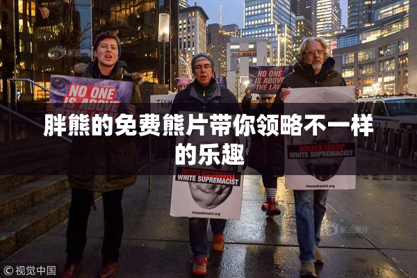 胖熊的免费熊片带你领略不一样的乐趣