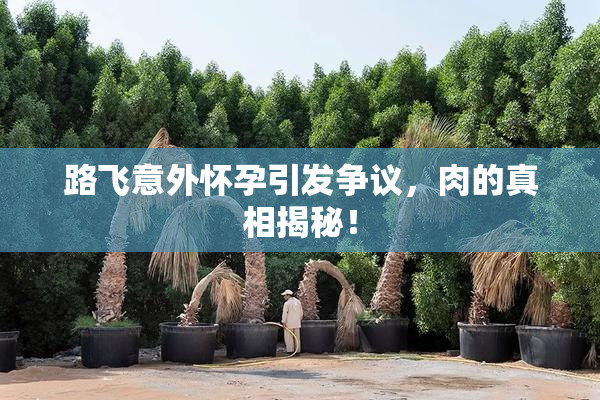 路飞意外怀孕引发争议，肉的真相揭秘！