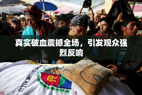 真实破血震撼全场，引发观众强烈反响