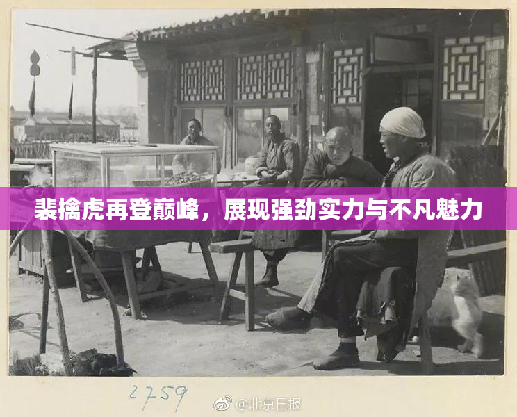裴擒虎再登巅峰，展现强劲实力与不凡魅力