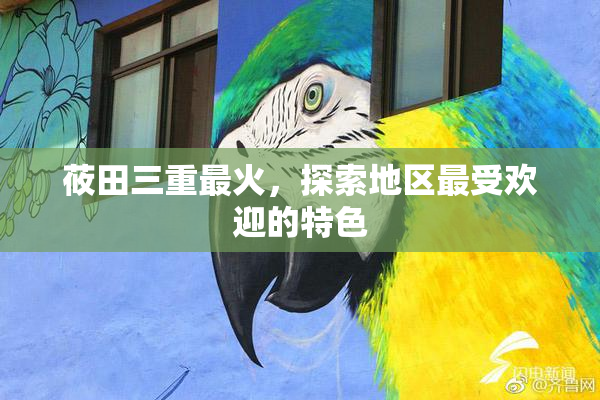 莜田三重最火，探索地区最受欢迎的特色
