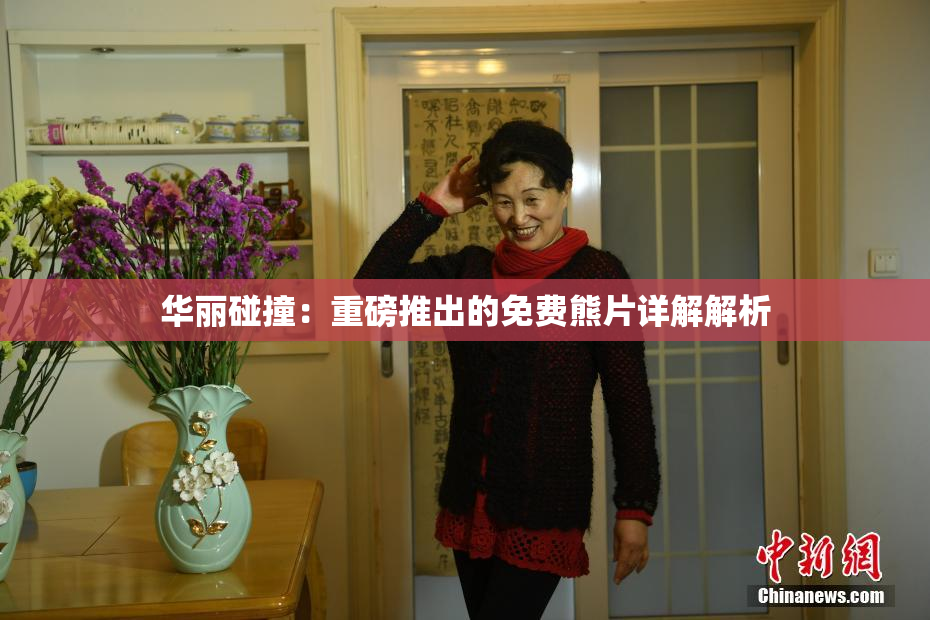 华丽碰撞：重磅推出的免费熊片详解解析