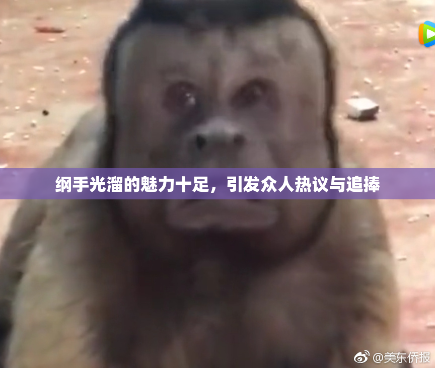 纲手光溜的魅力十足，引发众人热议与追捧