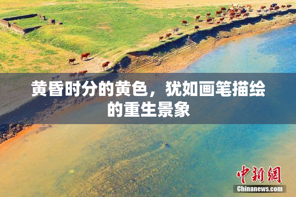 黄昏时分的黄色，犹如画笔描绘的重生景象