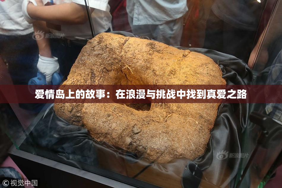爱情岛上的故事：在浪漫与挑战中找到真爱之路