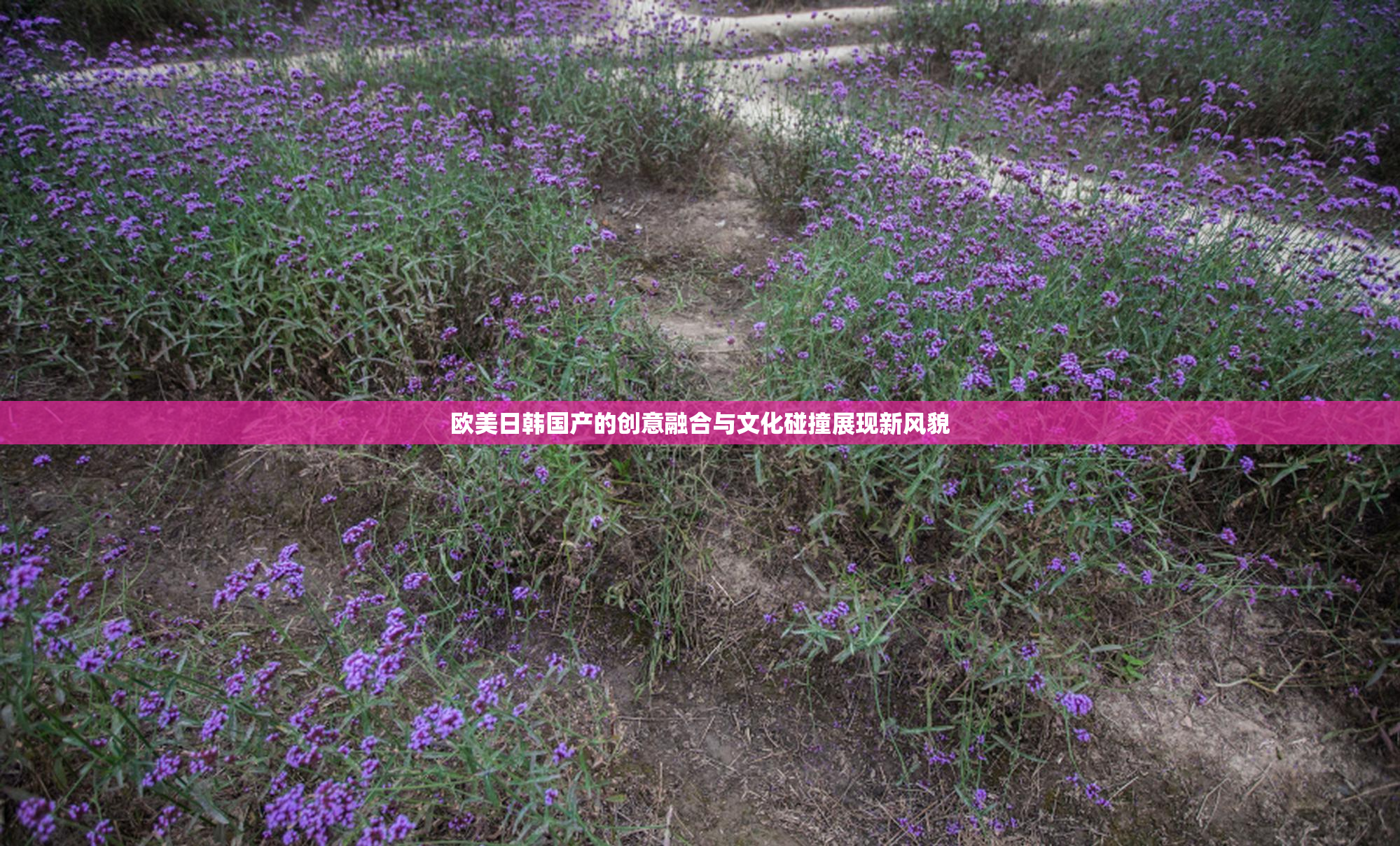 欧美日韩国产的创意融合与文化碰撞展现新风貌