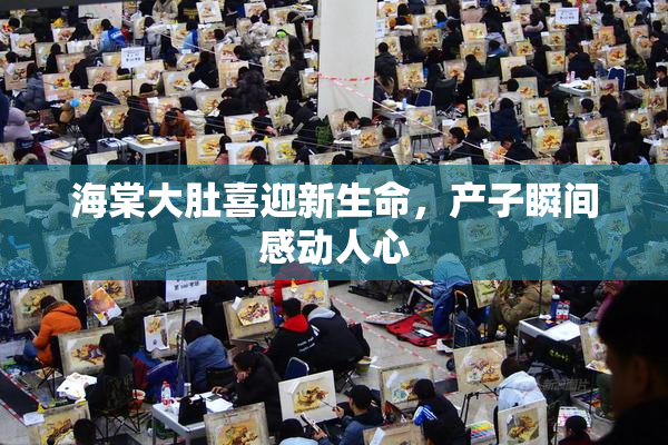 海棠大肚喜迎新生命，产子瞬间感动人心